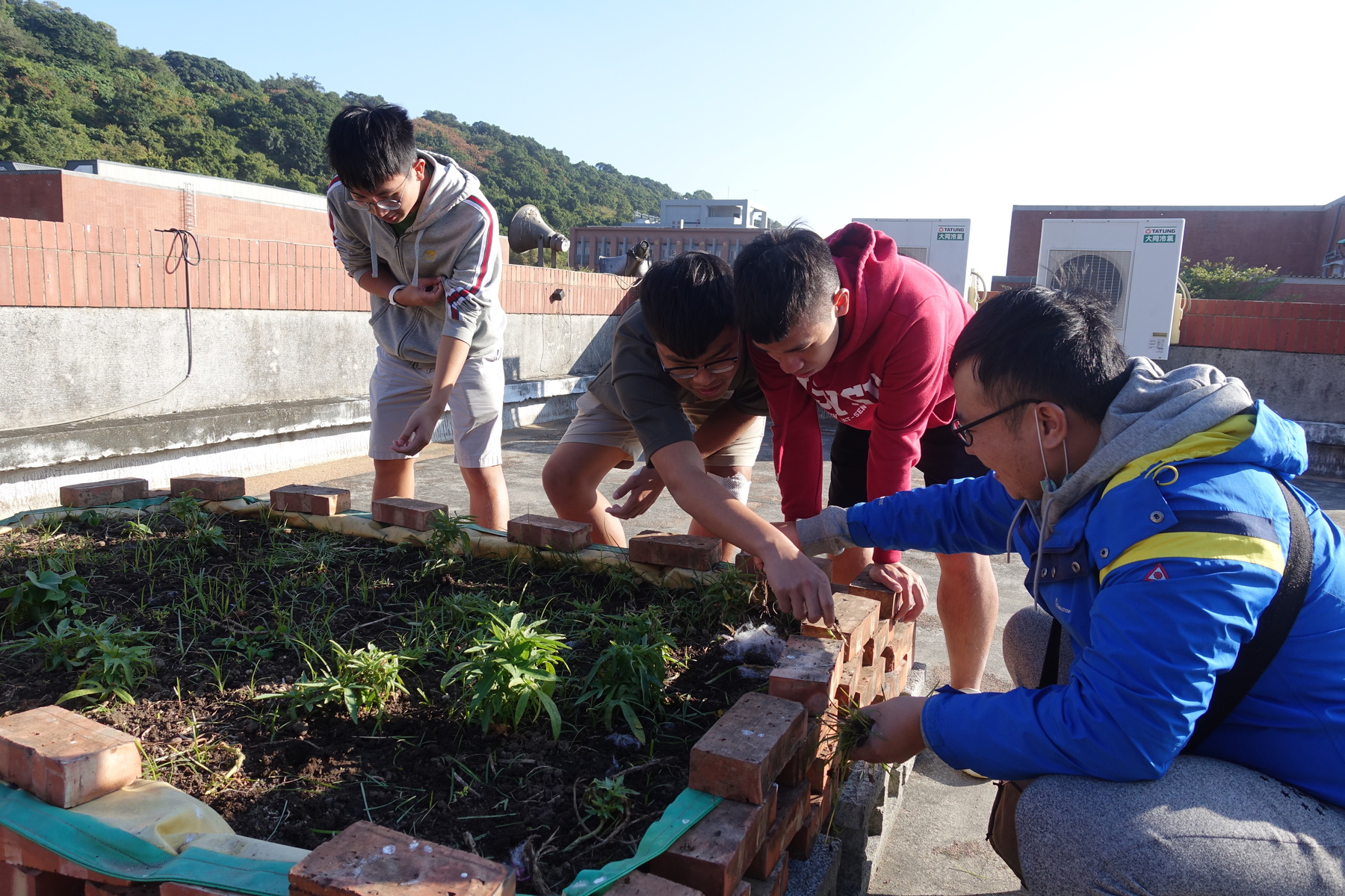 For the past 2 years, the students of the Food and Agriculture Society at NSYSU have been keeping an organic, toxic-free garden on the rooftop of the building of the College of Social Sciences.Image