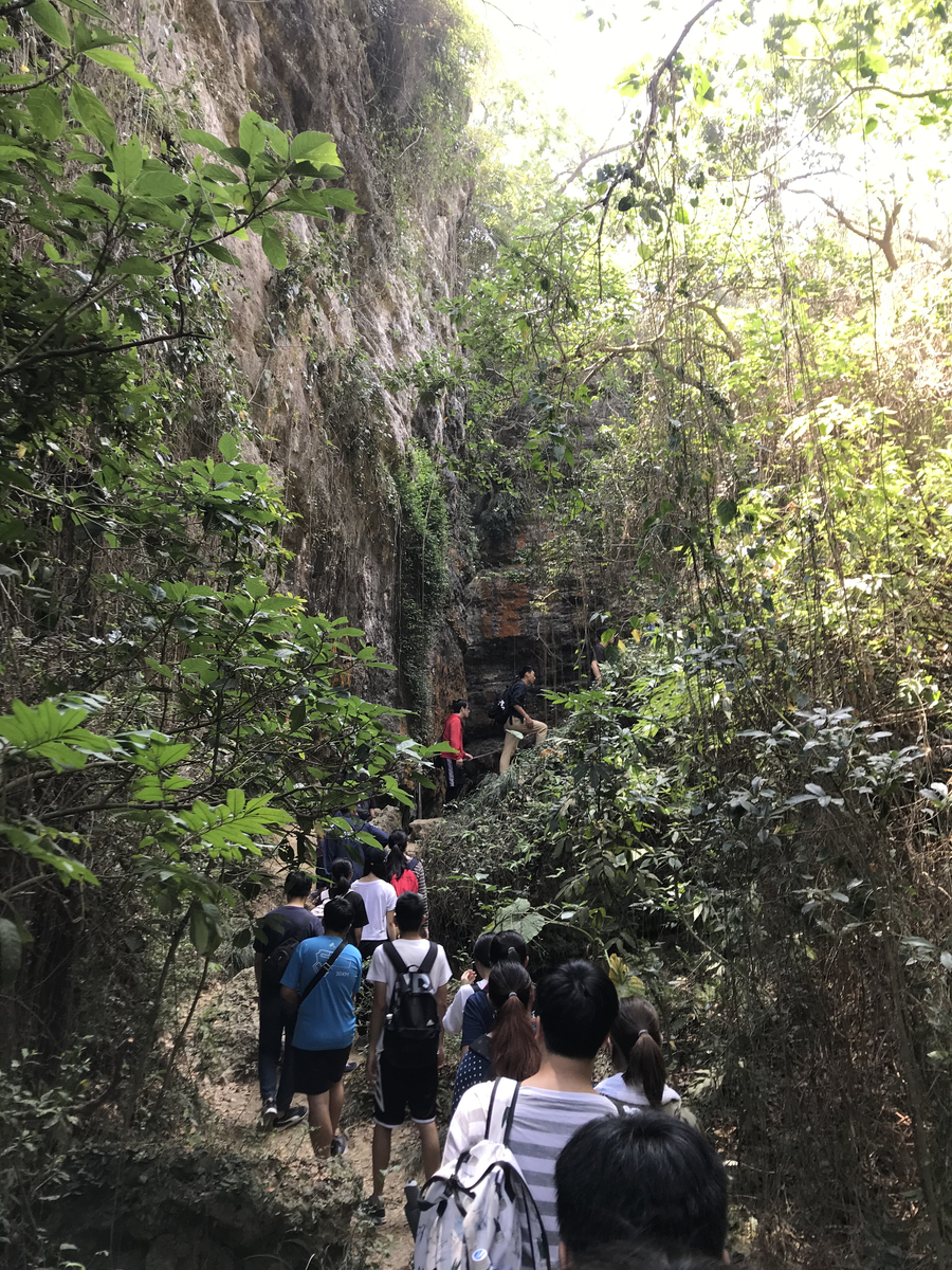 Restore our Earth: NSYSU students remove invasive species in Chaishan Mountain