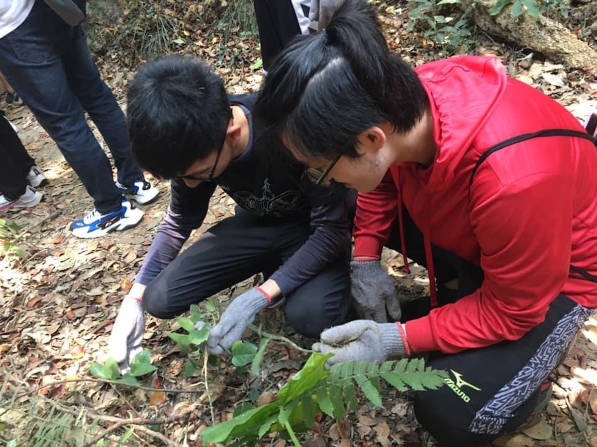 Restore our Earth: NSYSU students remove invasive species in Chaishan Mountain