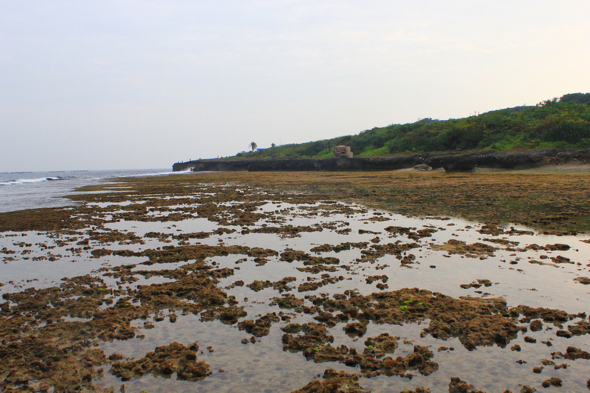 NSYSU team gives recommendations to solve sea urchin barren problem in Little Liuchiu