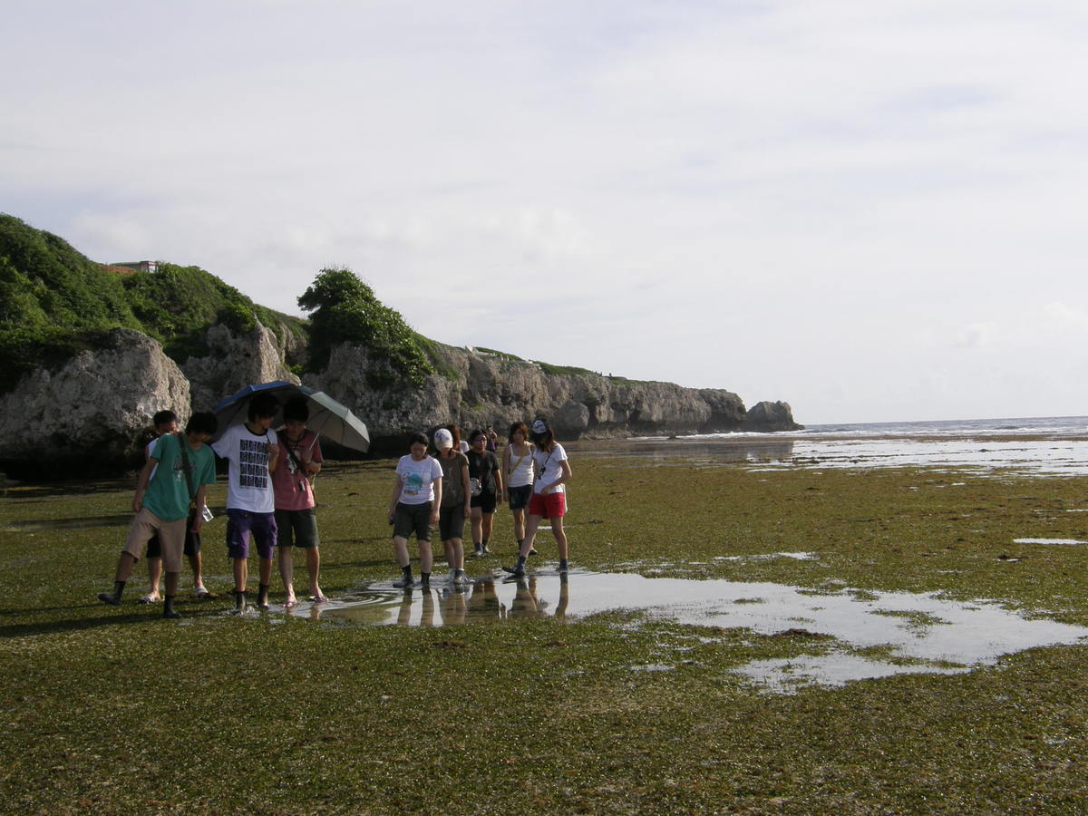 NSYSU team gives recommendations to solve sea urchin barren problem in Little Liuchiu