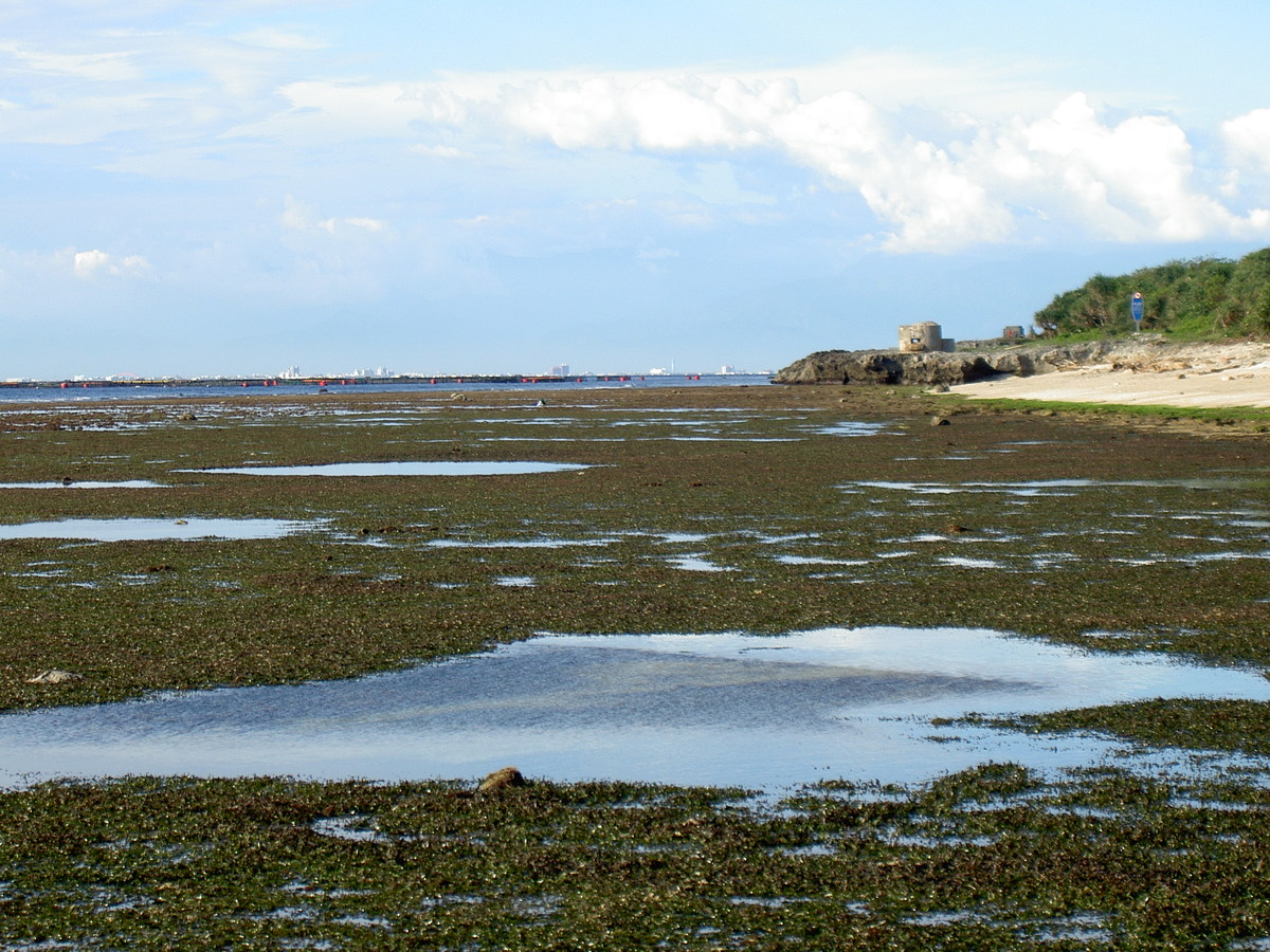 NSYSU team gives recommendations to solve sea urchin barren problem in Little Liuchiu